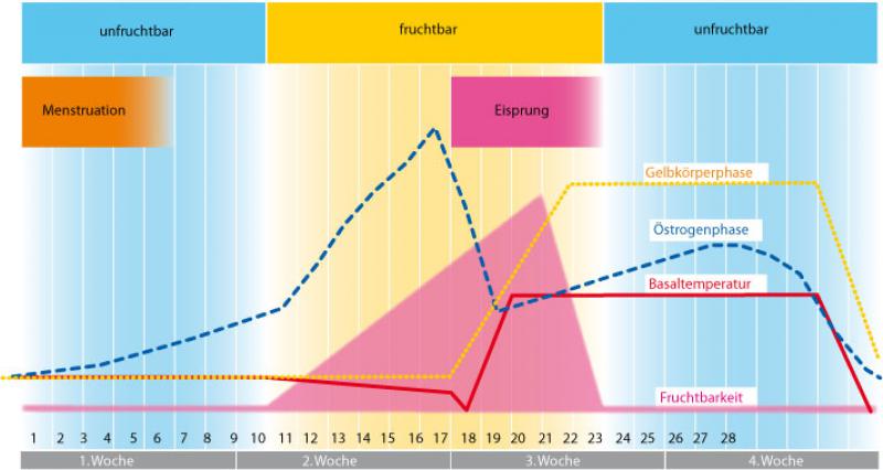 geschlechtsverkehr grafik erkältung durch geschlechtsverkehr geschlechtsverkehr grafik erkältung durch geschlechtsverkehr