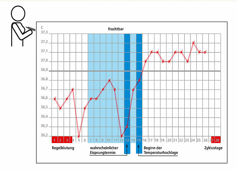 Fruchtbar frau wann eine ist Menopause: Trotzdem