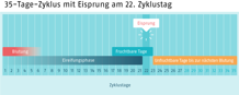 Infografik, die einen 35-Tage-Zyklus zeigt
