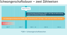 Infografik, die die beiden Zählweisen der Schwangerschaftsdauer zeigt