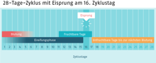 Infografik, die einen 28-Tage-Zyklus zeigt