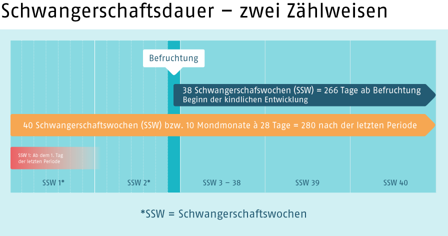 Bis schwangerschaft sex wann in der Wann wird