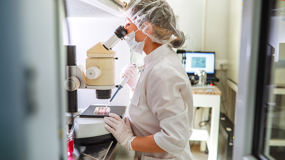 Embryologin mit Mikroskop in einem echten Labor